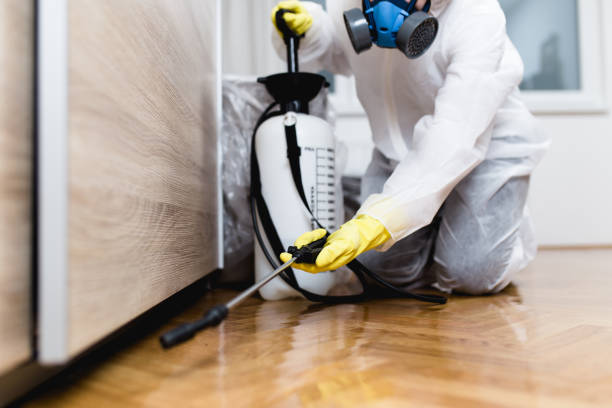 Professional Pest Control in Manito, IL