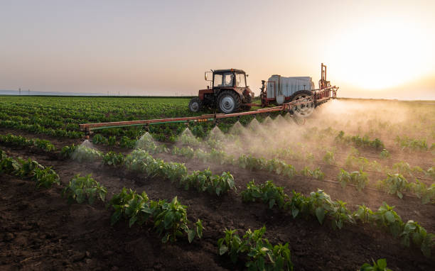Best Pest Inspection Near Me  in Manito, IL