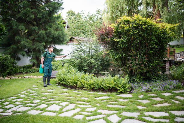 Best Mosquito Control Services  in Manito, IL