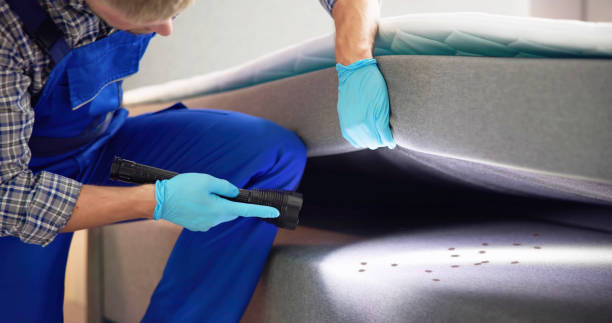 Best Pest Control for Businesses  in Manito, IL