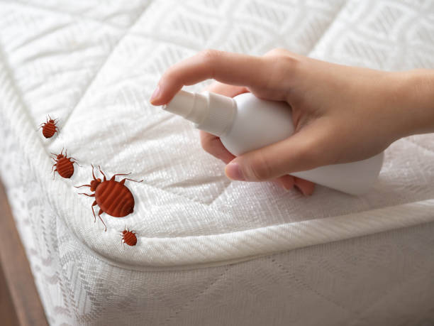 Best Pest Prevention Services  in Manito, IL