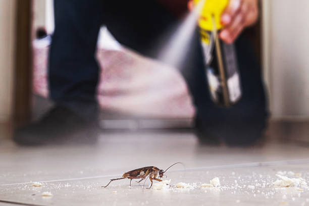 Best Wildlife Control Services  in Manito, IL