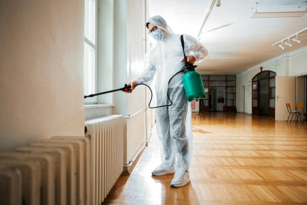 Best Emergency Pest Control  in Manito, IL