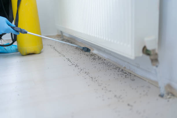 Best Pest Control Cost  in Manito, IL